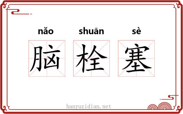 脑栓塞 脑栓塞