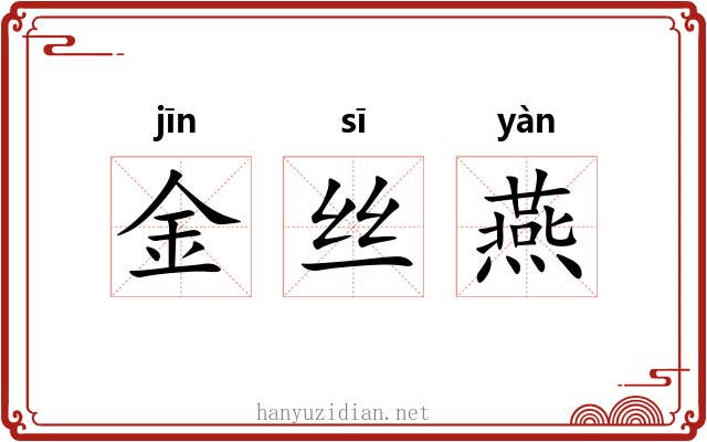 金丝燕 金丝燕