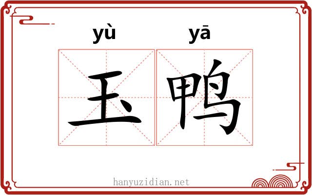 玉鸭