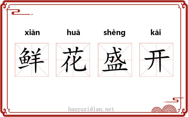 鲜花盛开
