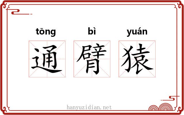通臂猿
