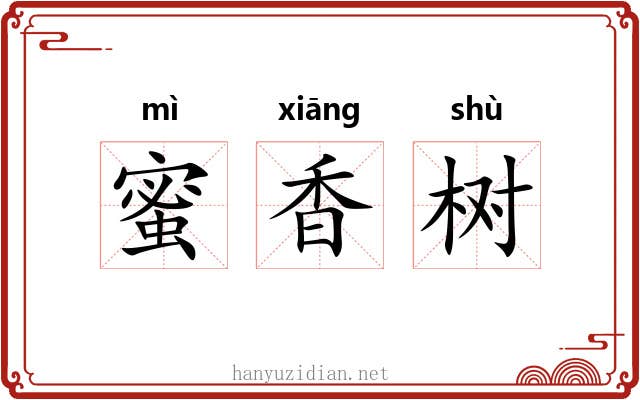 蜜香树 蜜香树