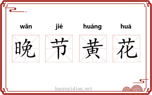 晚节黄花 晚节黄花