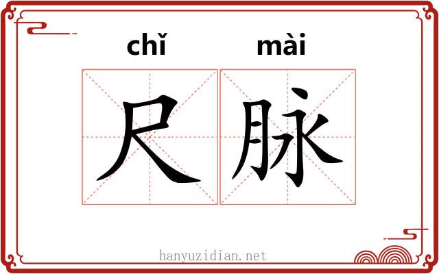 尺脉 尺脉