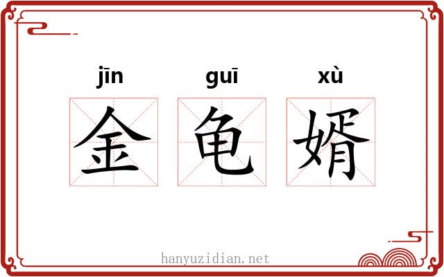 金龟婿 金龟婿