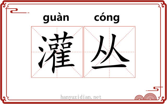 灌丛