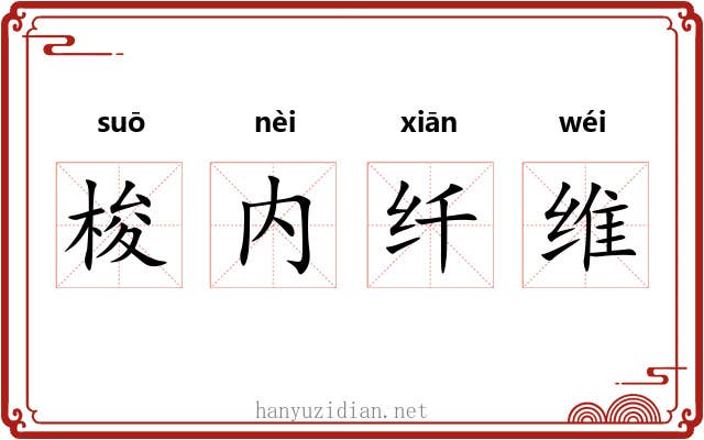 梭内纤维 梭内纤维