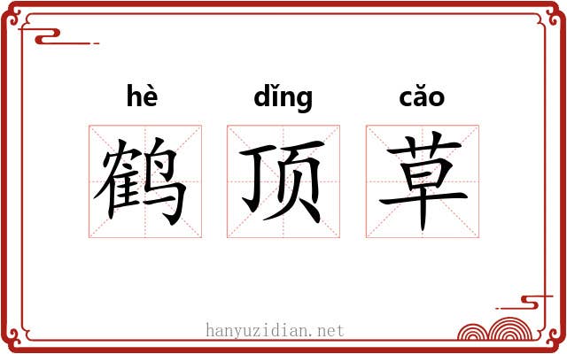 鹤顶草 鹤顶草