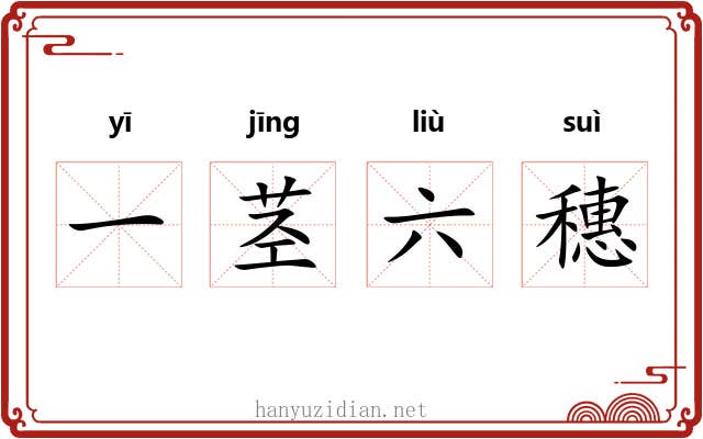 一茎六穗 一茎六穗