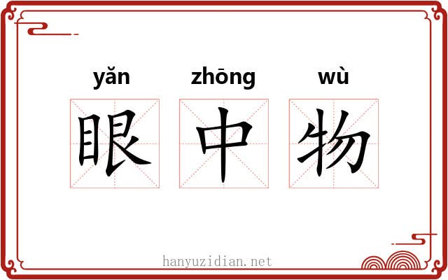 眼中物