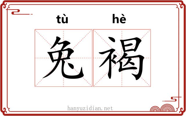 兔褐