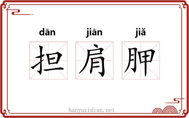 担肩胛 担肩胛