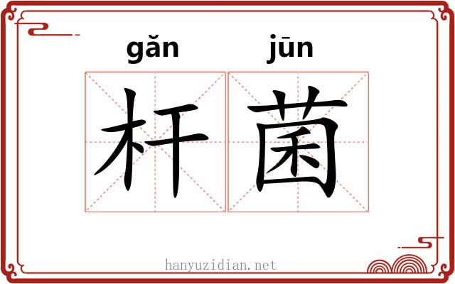 杆菌