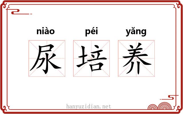 尿培养