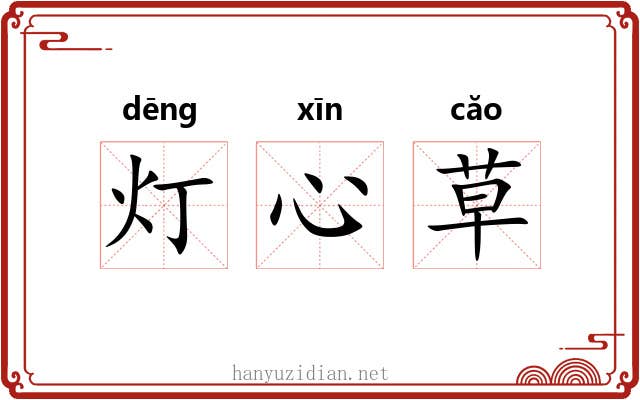 灯心草 灯心草