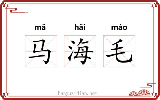 马海毛
