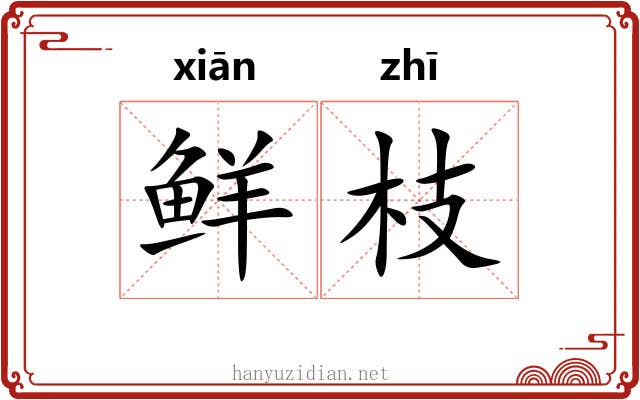 鲜枝 鲜枝