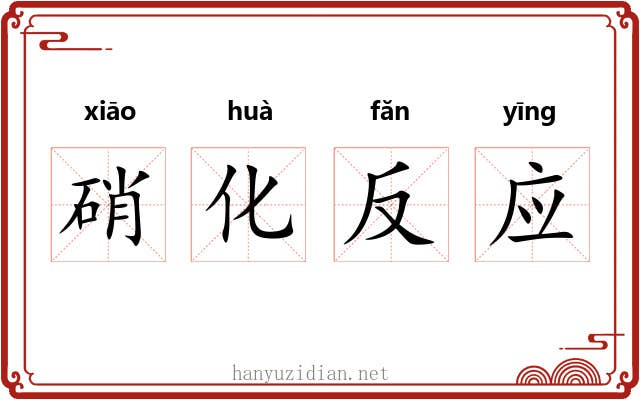 硝化反应 硝化反应