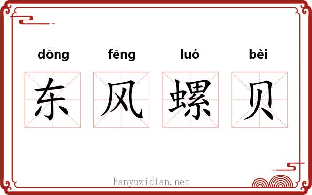 东风螺贝 东风螺贝