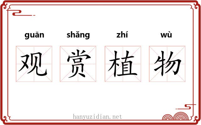 观赏植物