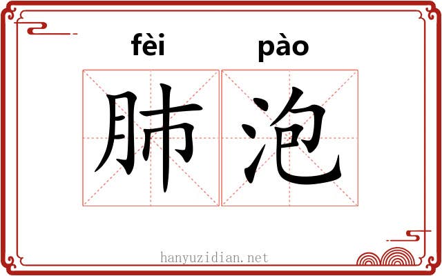 肺泡