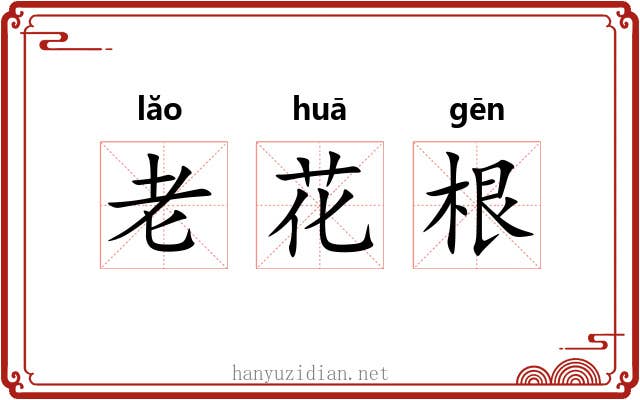 老花根