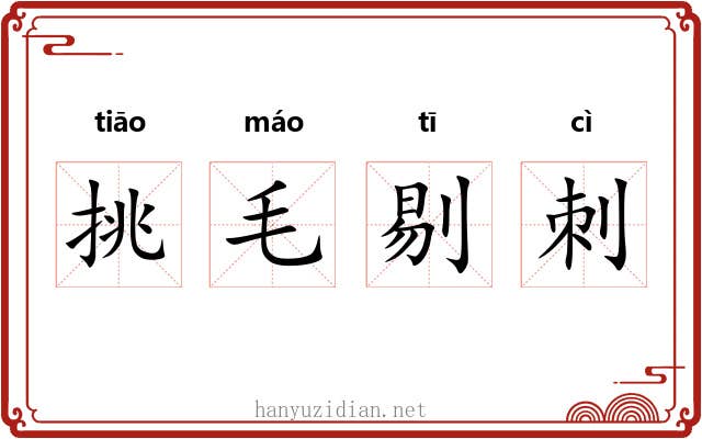 挑毛剔刺 挑毛剔刺