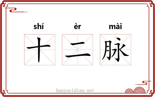 十二脉 十二脉