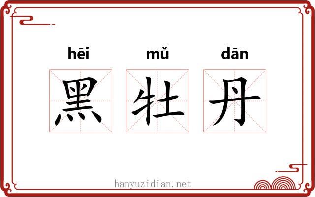 黑牡丹