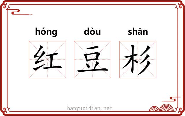 红豆杉 红豆杉