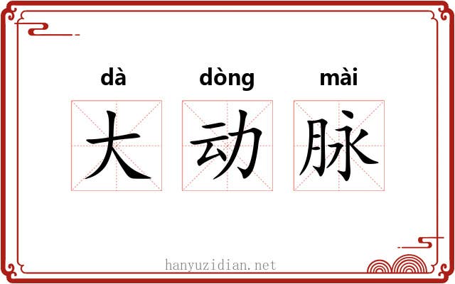 大动脉 大动脉