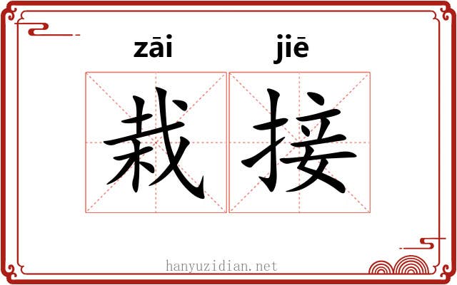 栽接
