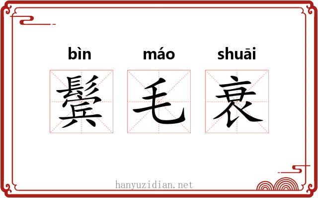 鬓毛衰 鬓毛衰