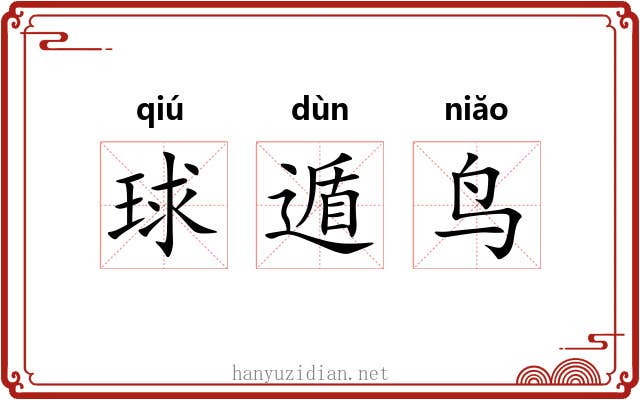 球遁鸟