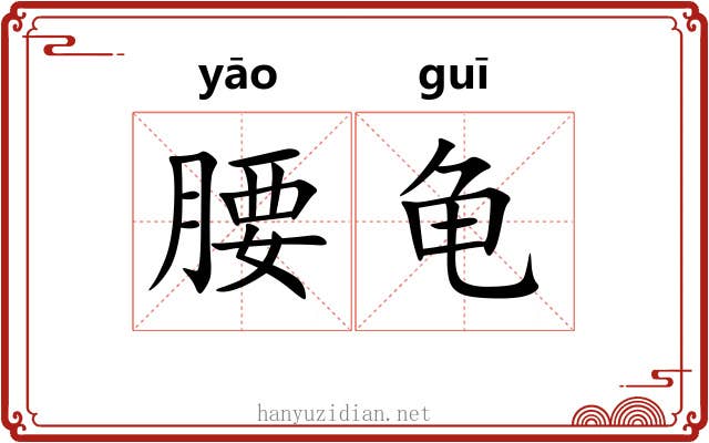 腰龟 腰龟