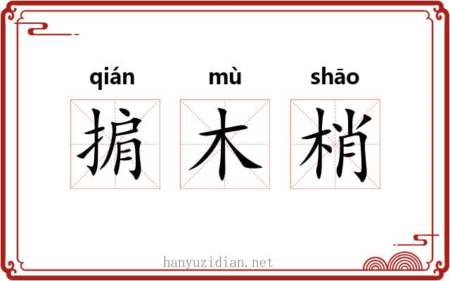 掮木梢