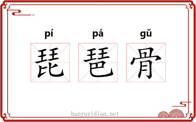 琵琶骨 琵琶骨