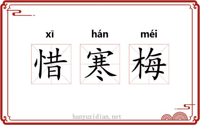 惜寒梅