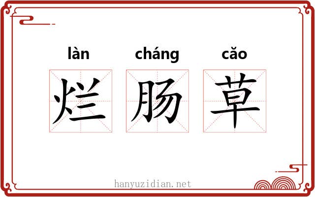 烂肠草 烂肠草