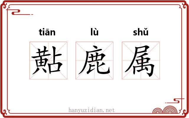 黇鹿属 黇鹿属