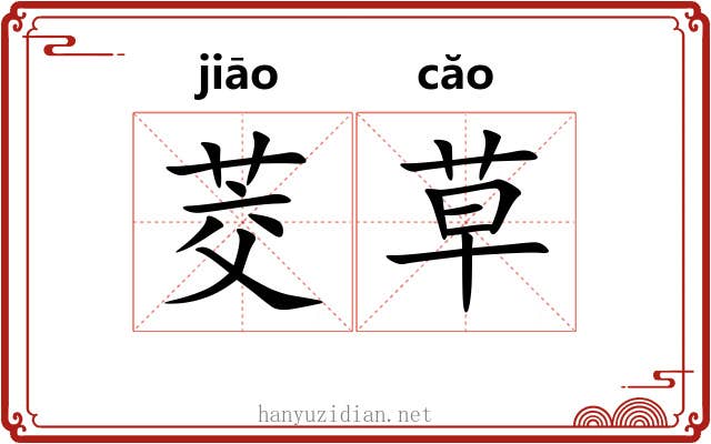 茭草 茭草