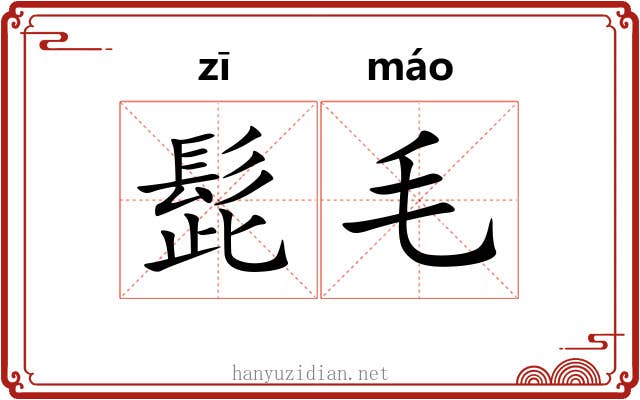 髭毛