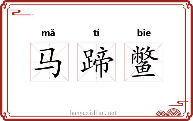 马蹄鳖
