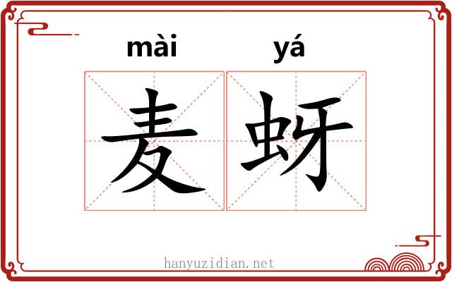 麦蚜