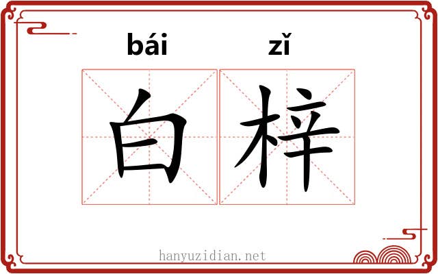 白梓 白梓