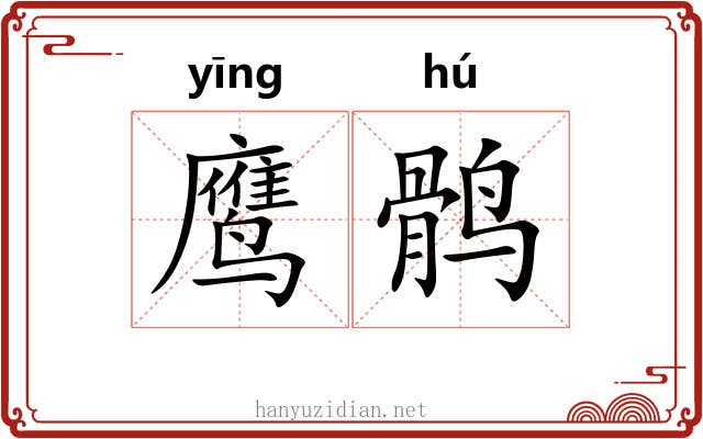 鹰鹘