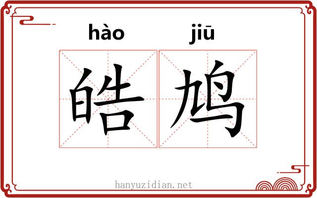 皓鸠