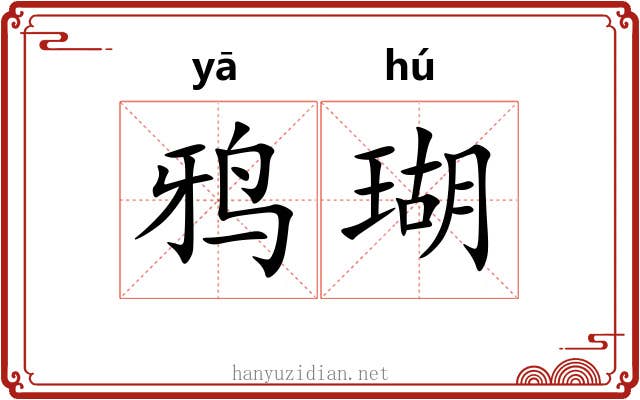 鸦瑚