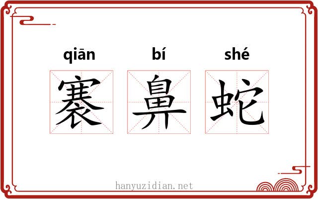 褰鼻蛇
