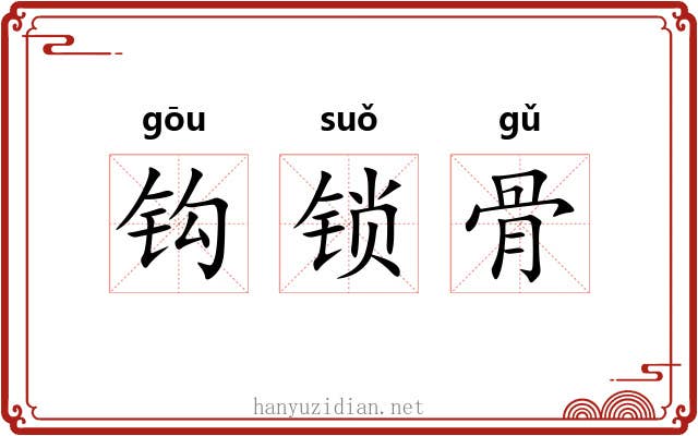 钩锁骨